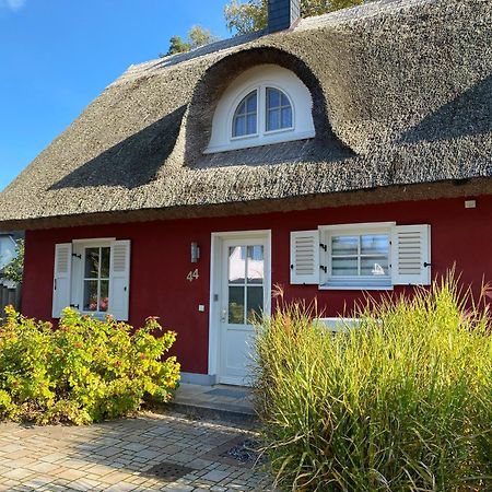 Ferienhaus Greta Glowe Zewnętrze zdjęcie